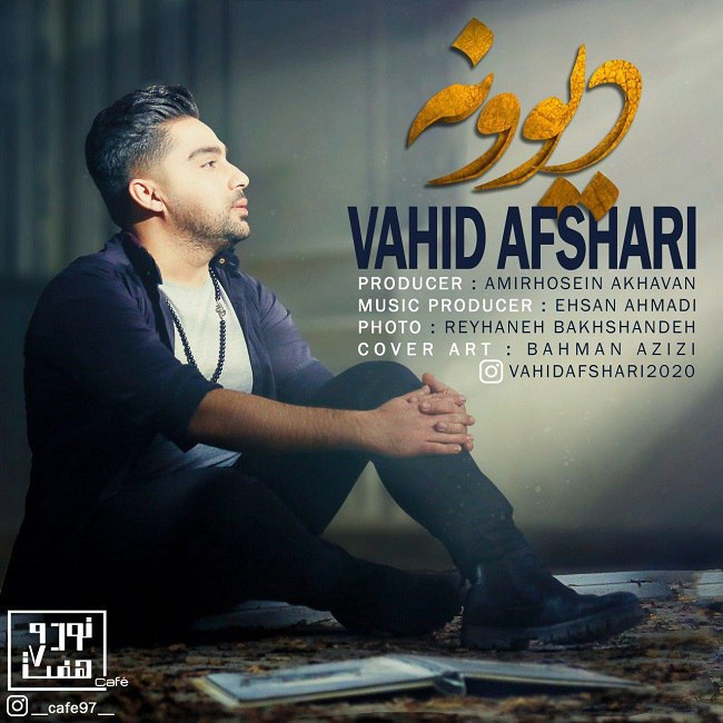 دانلود آهنگ دیوونه